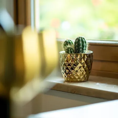 Appartementhaus Arzt Τσελ αμ Ζέε